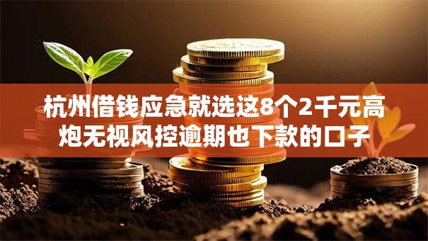 杭州借钱应急就选这8个2千元高炮无视风控逾期也下款的口子