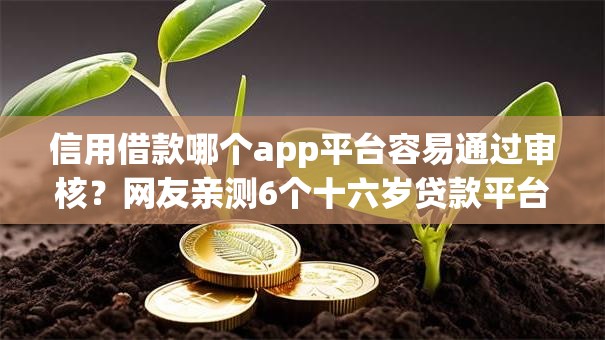 信用借款哪个app平台容易通过审核？网友亲测6个十六岁贷款平台盘点