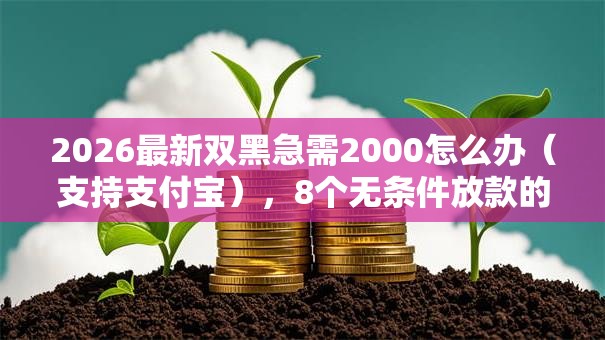 2026最新双黑急需2000怎么办（支持支付宝），8个无条件放款的平台无私分享