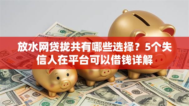 放水网贷拢共有哪些选择？5个失信人在平台可以借钱详解