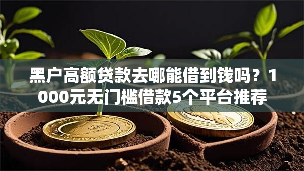 黑户高额贷款去哪能借到钱吗？1000元无门槛借款5个平台推荐