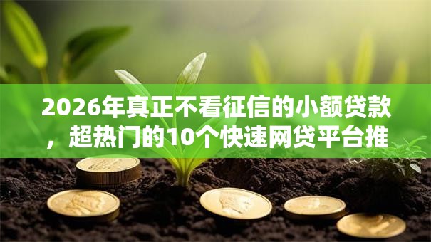 2026年真正不看征信的小额贷款，超热门的10个快速网贷平台推荐