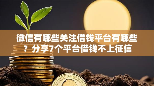 微信有哪些关注借钱平台有哪些？分享7个平台借钱不上征信