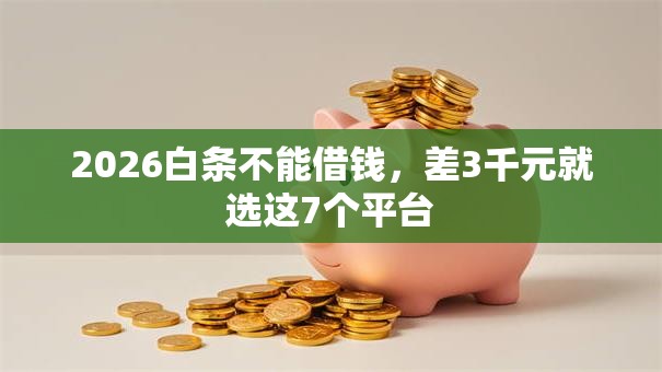 2026白条不能借钱,差3千元就选这7个平台 2026白条不能借钱,差3千元就选这7个平台