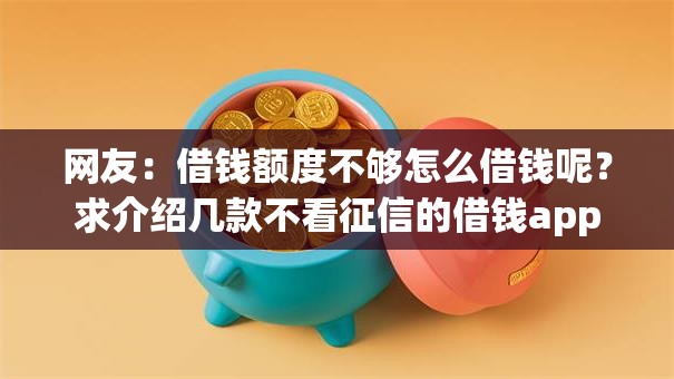 网友：借钱额度不够怎么借钱呢？求介绍几款不看征信的借钱app
