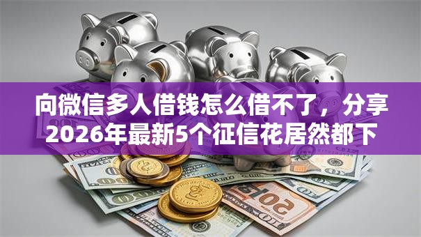 向微信多人借钱怎么借不了，分享2026年最新5个征信花居然都下款了的软件