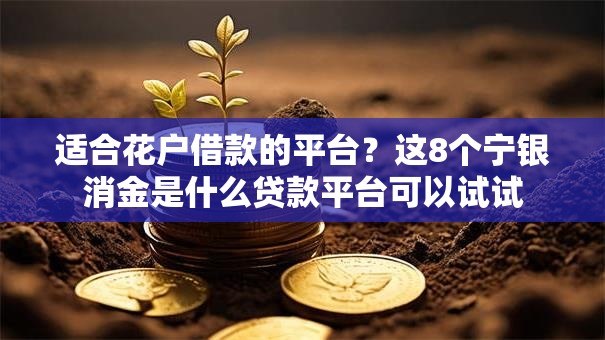适合花户借款的平台？这8个宁银消金是什么贷款平台可以试试