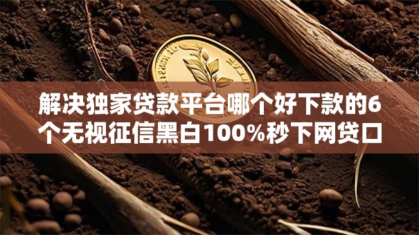 解决独家贷款平台哪个好下款的6个无视征信黑白100%秒下网贷口子分享