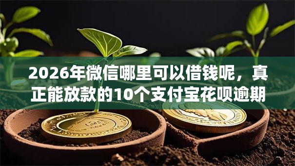 2026年微信哪里可以借钱呢,真正能放款的10个支付宝花呗逾期万元快速贷款app推荐 2026年微信哪里可以借钱呢,真正能放款的10个支付宝花呗逾期万元快速贷款app推荐