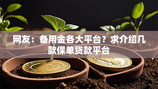 网友:备用金各大平台?求介绍几款保单贷款平台 网友:备用金各大平台?求介绍几款保单贷款平台