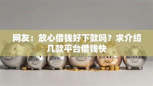 网友：放心借钱好下款吗？求介绍几款平台借钱快