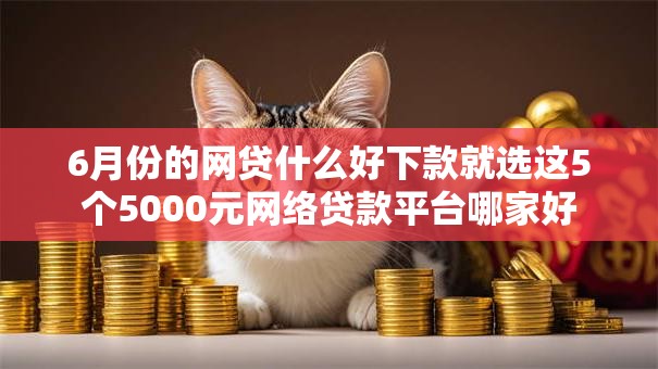 6月份的网贷什么好下款就选这5个5000元网络贷款平台哪家好