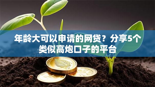 年龄大可以申请的网贷？分享5个类似高炮口子的平台