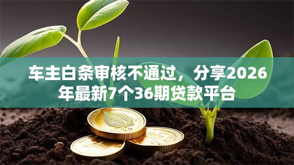 车主白条审核不通过,分享2026年最新7个36期贷款平台 车主白条审核不通过,分享2026年最新7个36期贷款平台