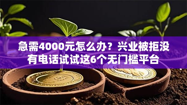 急需4000元怎么办？兴业被拒没有电话试试这6个无门槛平台