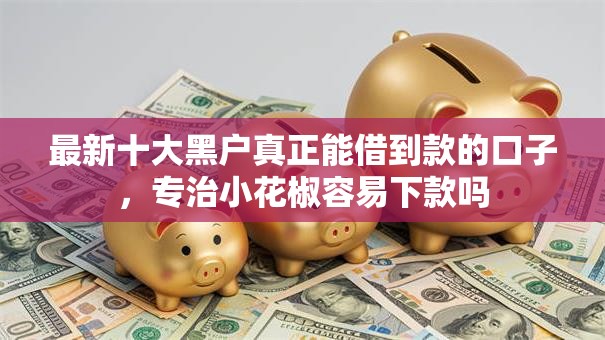 最新十大黑户真正能借到款的口子，专治小花椒容易下款吗