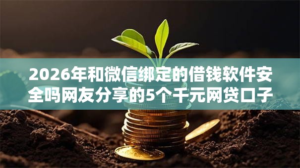 2026年和微信绑定的借钱软件安全吗网友分享的5个千元网贷口子必下的我觉得不错！
