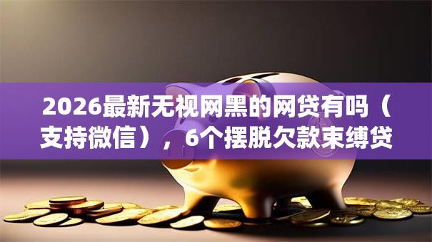 2026最新无视网黑的网贷有吗（支持微信），6个摆脱欠款束缚贷款新app无私分享