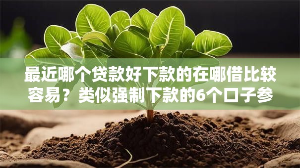 最近哪个贷款好下款的在哪借比较容易？类似强制下款的6个口子参考