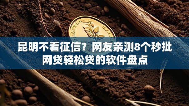 昆明不看征信？网友亲测8个秒批网贷轻松贷的软件盘点