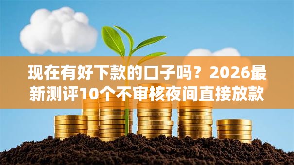 现在有好下款的口子吗？2026最新测评10个不审核夜间直接放款的网贷app