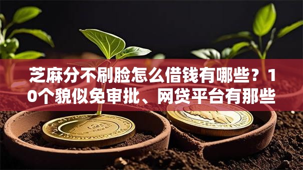 芝麻分不刷脸怎么借钱有哪些？10个貌似免审批、网贷平台有那些合集