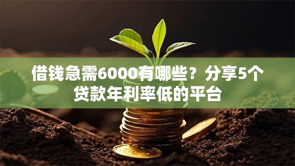 借钱急需6000有哪些？分享5个贷款年利率低的平台
