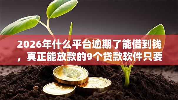 2026年什么平台逾期了能借到钱，真正能放款的9个贷款软件只要申请就通过推荐