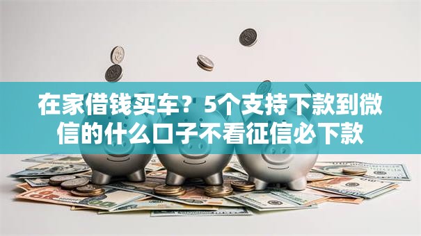 在家借钱买车？5个支持下款到微信的什么口子不看征信必下款