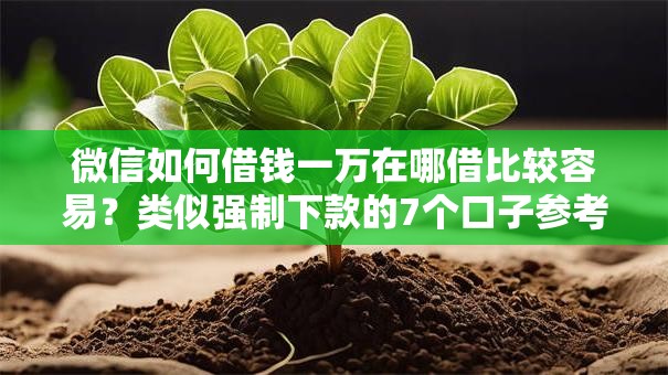 微信如何借钱一万在哪借比较容易？类似强制下款的7个口子参考