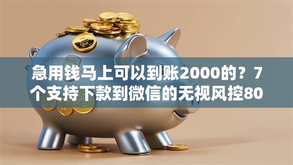 急用钱马上可以到账2000的？7个支持下款到微信的无视风控8000必下口子