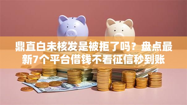 鼎直白未核发是被拒了吗？盘点最新7个平台借钱不看征信秒到账