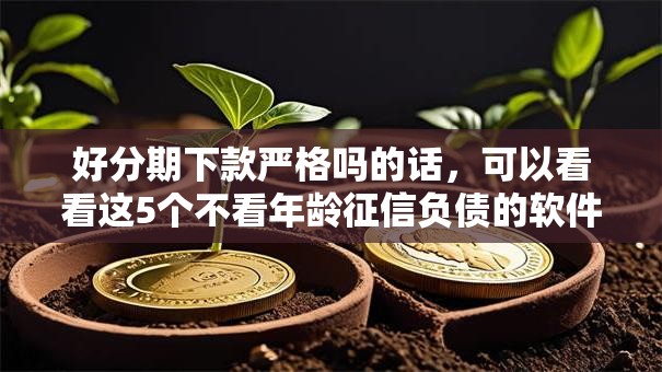 好分期下款严格吗的话,可以看看这5个不看年龄征信负债的软件 好分期下款严格吗的话,可以看看这5个不看年龄征信负债的软件