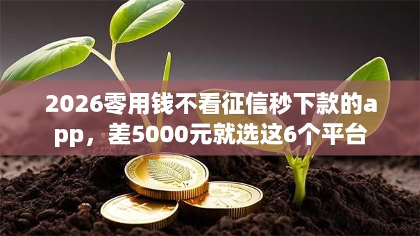 2026零用钱不看征信秒下款的app，差5000元就选这6个平台