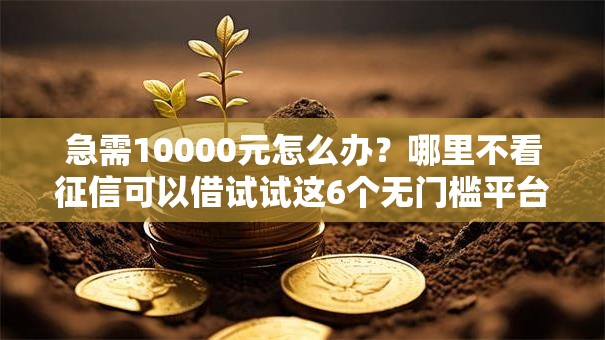急需10000元怎么办？哪里不看征信可以借试试这6个无门槛平台