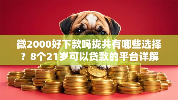 微2000好下款吗拢共有哪些选择？8个21岁可以贷款的平台详解