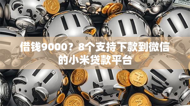借钱9000？8个支持下款到微信的小米贷款平台