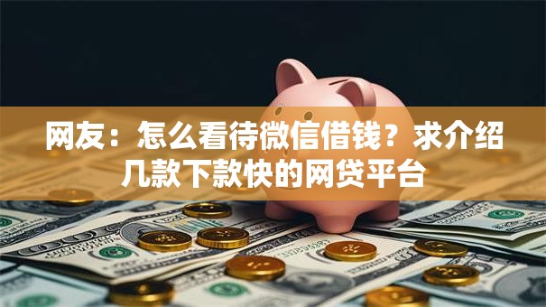 网友：怎么看待微信借钱？求介绍几款下款快的网贷平台