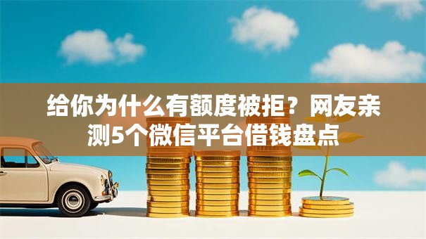 给你为什么有额度被拒?网友亲测5个微信平台借钱盘点 给你为什么有额度被拒?网友亲测5个微信平台借钱盘点