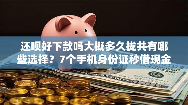 还呗好下款吗大概多久拢共有哪些选择?7个手机身份证秒借现金的软件详解 还呗好下款吗大概多久拢共有哪些选择?7个手机身份证秒借现金的软件详解