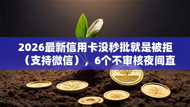 2026最新信用卡没秒批就是被拒（支持微信），6个不审核夜间直接放款的网贷软件无私分享
