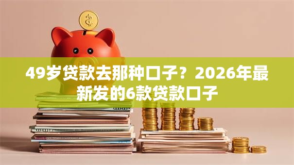 49岁贷款去那种口子？2026年最新发的6款贷款口子