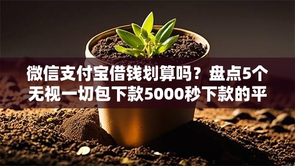 微信支付宝借钱划算吗？盘点5个无视一切包下款5000秒下款的平台给你参考