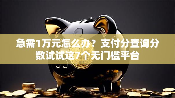 急需1万元怎么办？支付分查询分数试试这7个无门槛平台
