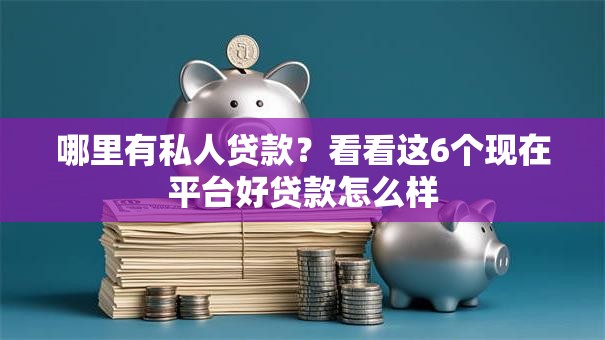 哪里有私人贷款?看看这6个现在平台好贷款怎么样 哪里有私人贷款?看看这6个现在平台好贷款怎么样