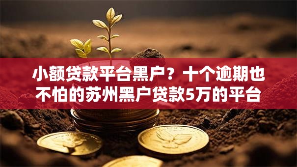 小额贷款平台黑户？十个逾期也不怕的苏州黑户贷款5万的平台