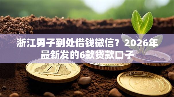 浙江男子到处借钱微信？2026年最新发的6款贷款口子