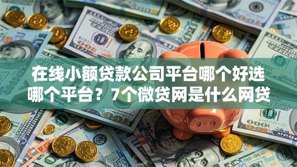 在线小额贷款公司平台哪个好选哪个平台？7个微贷网是什么网贷平台推荐