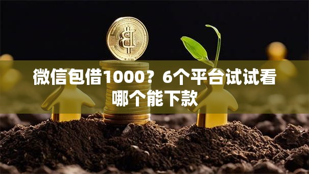 微信包借1000？6个平台试试看哪个能下款