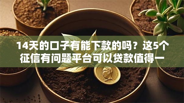 14天的口子有能下款的吗？这5个征信有问题平台可以贷款值得一试